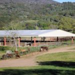 Fairlea Ranch Badger