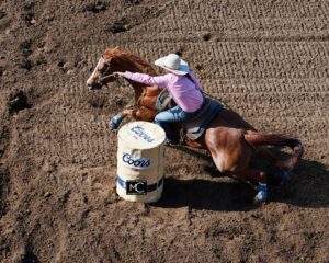 Lets Play Rodeo